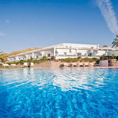 Forio di Ischia Hotel Albatros מראה חיצוני תמונה