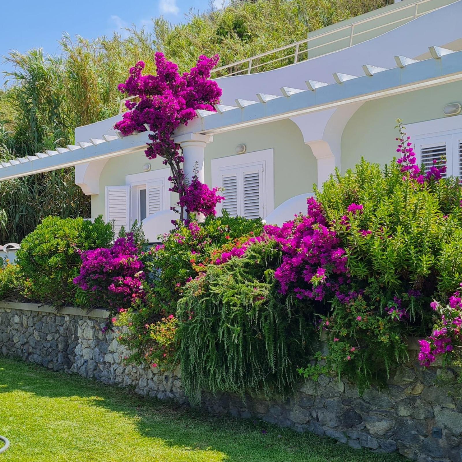 Forio di Ischia Hotel Albatros מראה חיצוני תמונה